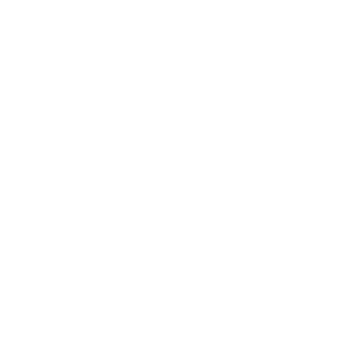 Logo with combined letters of N and S